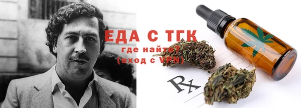 гидра Няндома