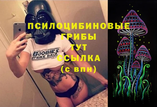ешки Абинск