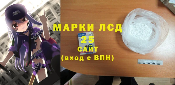 гидра Няндома